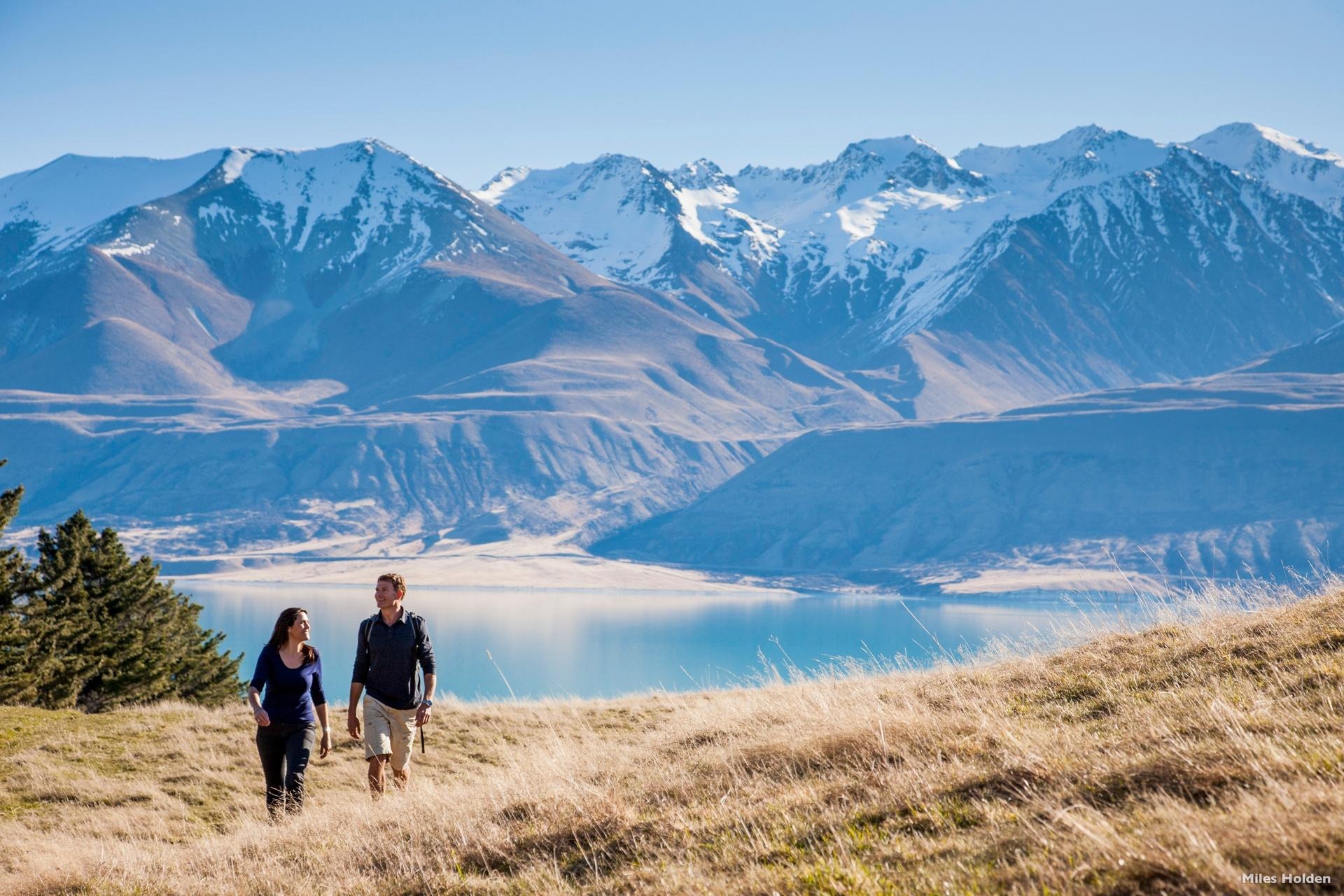 nz local tour