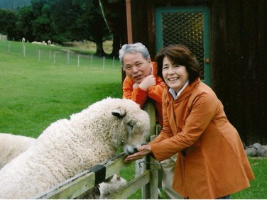 Feeding the sheep on a Christchurch Farm Tour