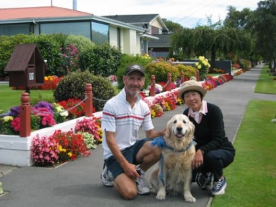 Begonia s in Christchurch Garden in February