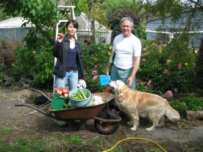 Christchurch Organic Garden Tour harvesting