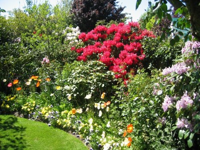 Spring Christchurch Garden Tour