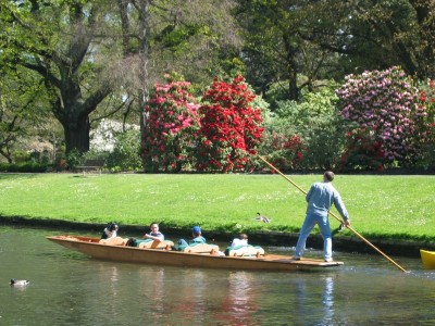 Christchurch City tour with punting in the park