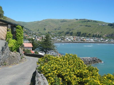 Christchurch Hiking Tour
