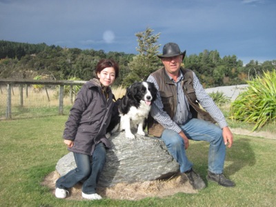 Christchurch Farm tour sheepdog photo