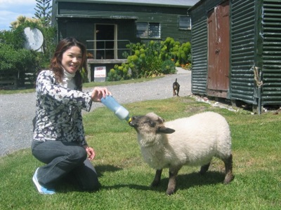 Christchurch Farm Tour