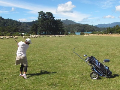 Christchurch Golf tour